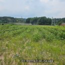 금산농장 2 이미지