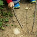 에벤에셀농장 이미지