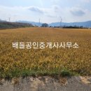 옥산리목장 이미지