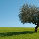 로뎀노인복지센터 이미지