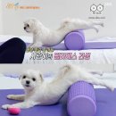 시립목동청소년센터 | [목동 필라테스] 시립목동청소년센터 - 기구필라테스 금 저녁 19시 후기🧘‍♀️🏃‍♀️