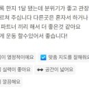 송탄종합격투기 멀티짐 | 평택 격투기 체육관은 팀매드 평택🔥👍🏻 | 평택 킥복싱 | 평택 주짓수