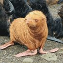 (주)알비노 이미지