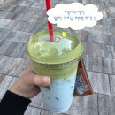 워터랑 | 매머드커피 말차 클라우드 블루 코코넛 라떼 두 번째 사먹은 후기 워터랑 비교