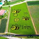 코레컴퍼니
