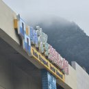 [울릉도 성인봉 등산]울릉도 3박4일 패키지 여행 후기- 범서여행사-