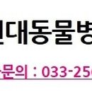 현대동물병원 애견용품 이미지