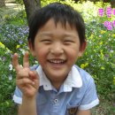 송림어린이집 이미지