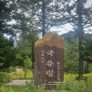 2024.7.26..강원 태백 연화산-투구봉 종주 이미지