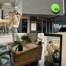 전주 송천동 에코시티 브런치 카페 “앱트 abt,” 후기(아기의자/주차/치아바타/브라우니)
