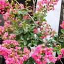 신운경로당 이미지