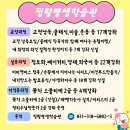 쏘잉아트(양재 심화) 이미지