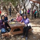 동고마을 이미지