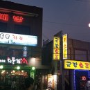 독도참치 이미지