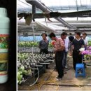 로하스팜 이미지