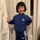 삼선17 이미지