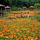 능원3리 이미지