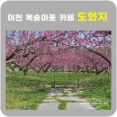 (주)이천써비스 | 이천 카페 도화지 복숭아꽃 후기 4월 18일