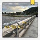 치쿠린 | 교토 아라시야마 여행 후기｜치쿠린 덴류지 도게츠교 코스