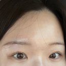 덕진초등학교 | 전주 전북대 속눈썹펌 잘하는곳 솔티 후기 유지력