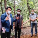 산과 자연의 쉼터 이미지