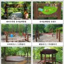 대아수목원 유아숲체험원 이미지