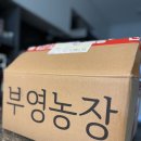 부영농장 이미지