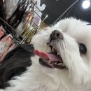 황궁쟁반짜장북경반점