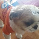 세수대야동까스 이미지