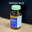 유산균 입문템 | 복부팽만감 줄여준 &#39;미야리산U&#39; 내돈내산 솔직 리뷰