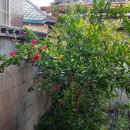 장세영이용소 이미지