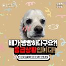 하랑메디컬 이미지