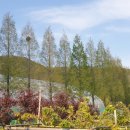 진해기술지원과(진해농업기술센터) 이미지