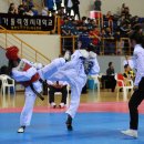 대학태권도체육관 이미지