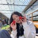 대수농장 | [논산 아이와 가볼만한 곳]당일치기 논산 딸기농장 체험