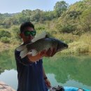 연론낚시터 이미지