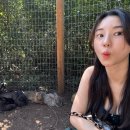 현구농장 이미지