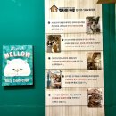 멍집사(폐업) 이미지