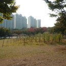 상리공원 이미지