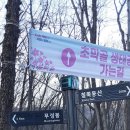 경기도 군포 수리산(24.12.15) 이미지