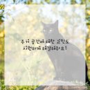 희망찬공인중개사사무소 이미지