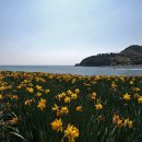 보옥농장 이미지