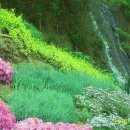 나의 정원 이미지