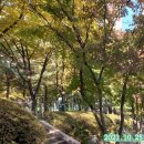 중앙공원 산책로 이미지