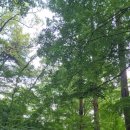 청계산로 241-1 이미지