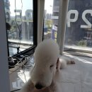 D-Style(디스타일) 이미지