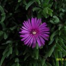 합천이모 이미지