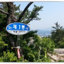 중앙선어시장 이미지