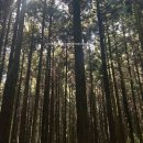 스테이 회천 | 제주 동쪽 조천 자쿠지 독채숙소 내돈내산 스테이회천