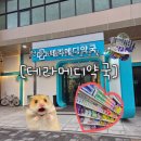 메디칼약국 | 💊전주최초창고형약국;솔직후기 /가격/종류/[테라메디칼약국]